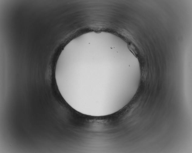 X0000088680448200706281946