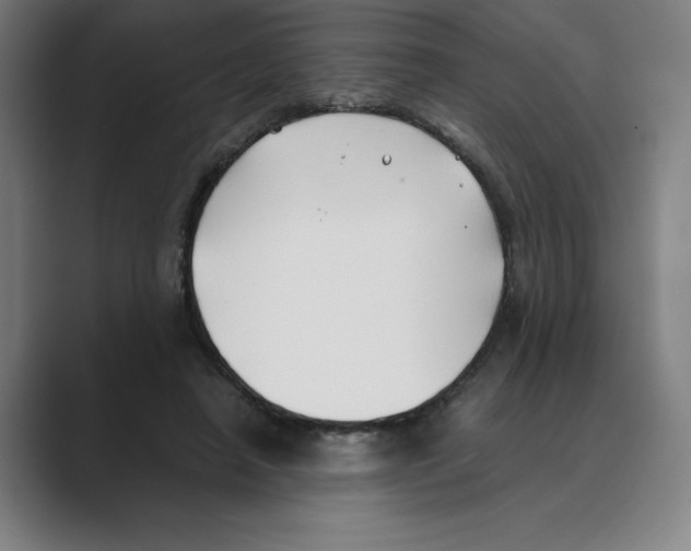 X0000088680450200706281946