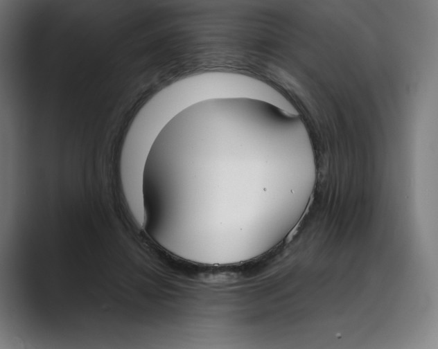 X0000088680452200706281946