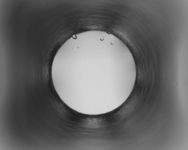 X0000088680453200706281946