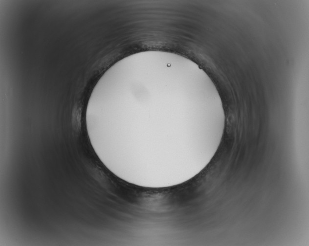 X0000088680454200706281946