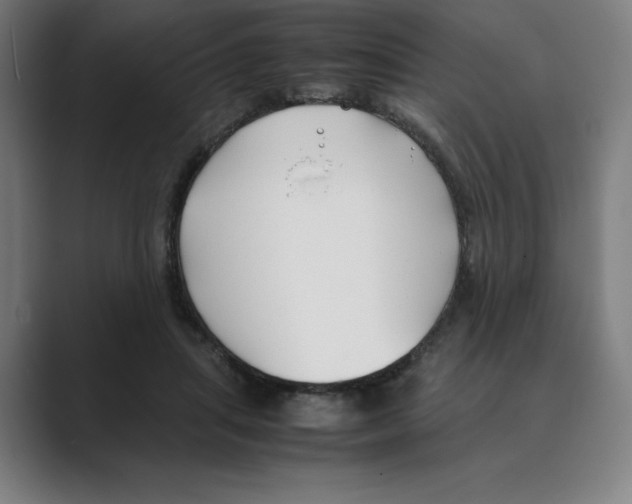 X0000088680455200706281946