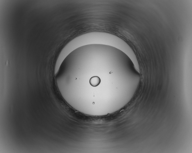 X0000088680456200706281946