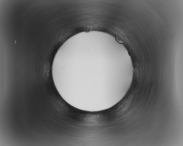 X0000088680458200706281946