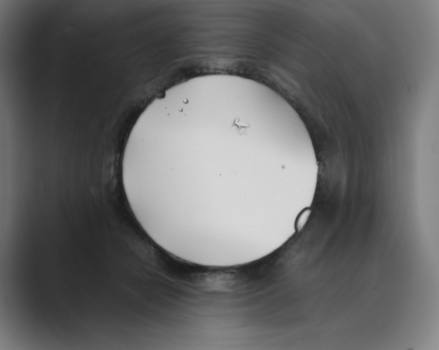 X0000088680462200706281946