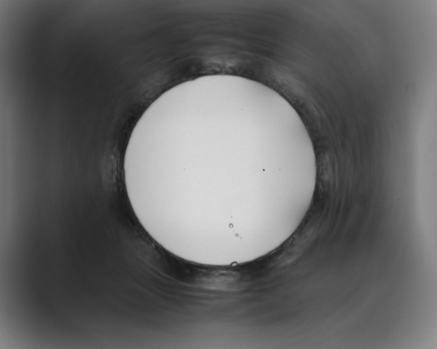 X0000088680463200706281946