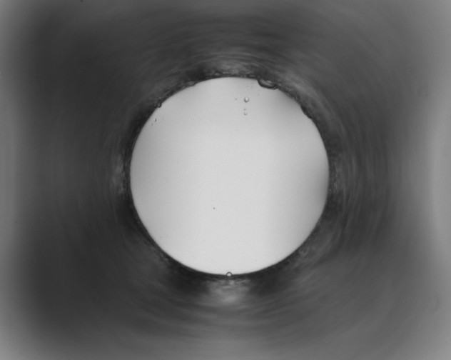 X0000088680465200706281946