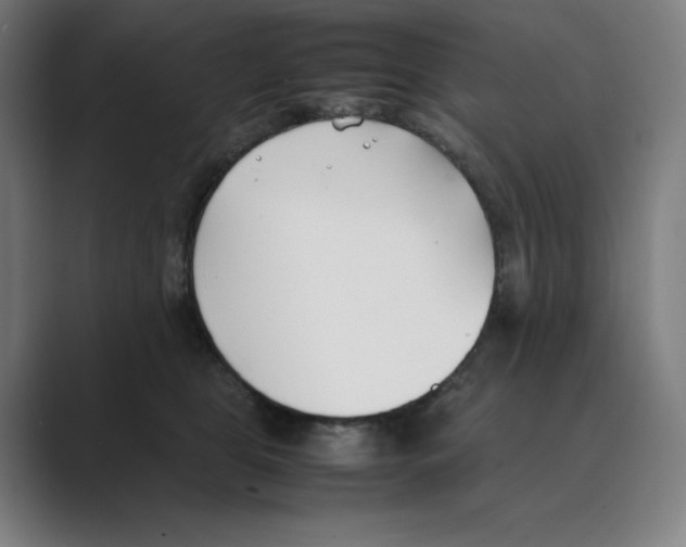 X0000088680469200706281946