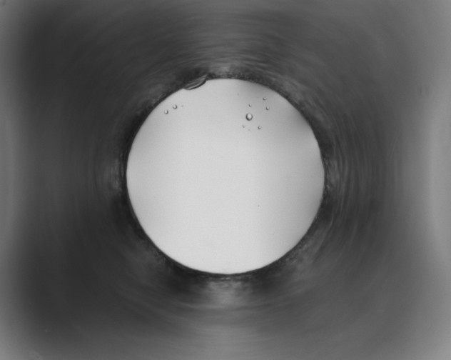 X0000088680470200706281946