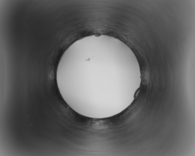 X0000088680472200706281946