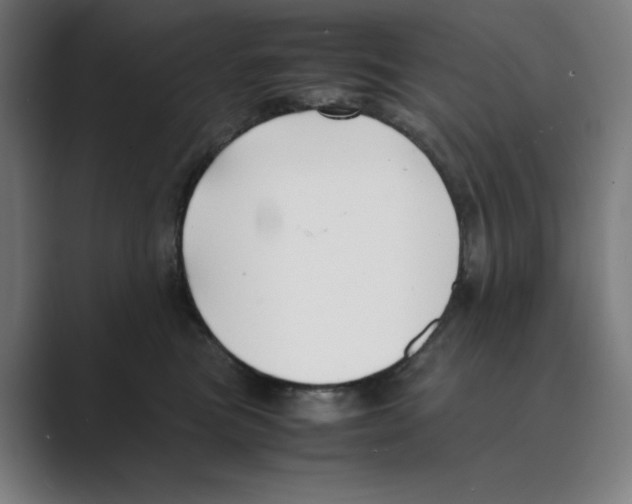 X0000088680473200706281946