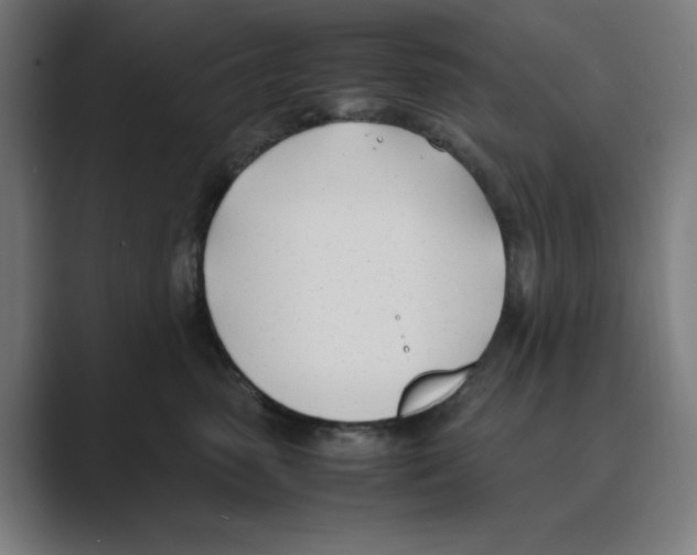 X0000088680475200706281946