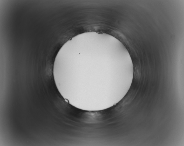 X0000088680477200706281946