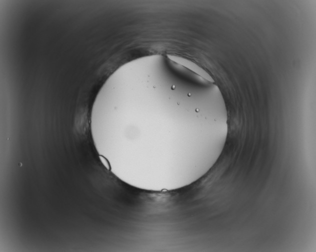 X0000088680478200706281946