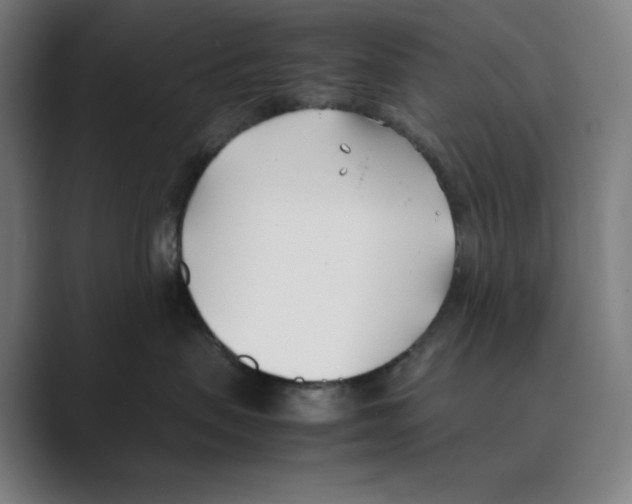 X0000088680479200706281946