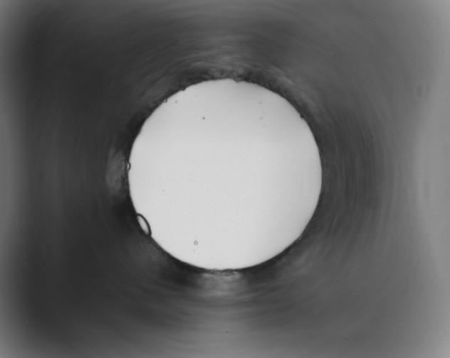 X0000088680480200706281946