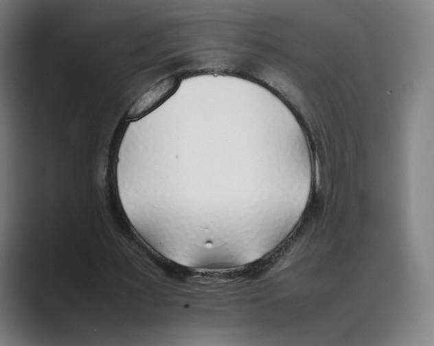 X0000088680483200706281945