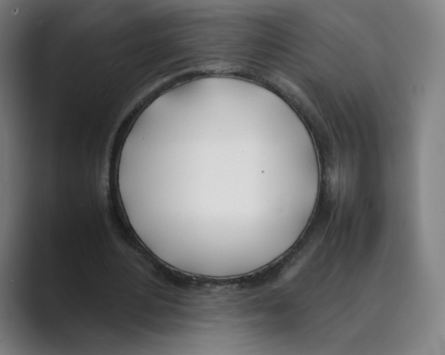 X0000088680484200706281945