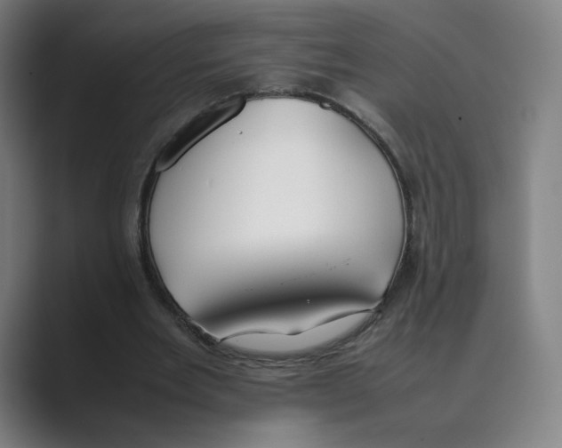 X0000088680485200706281945