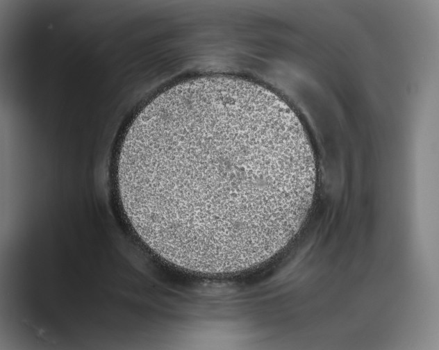 X0000088680487200706281945