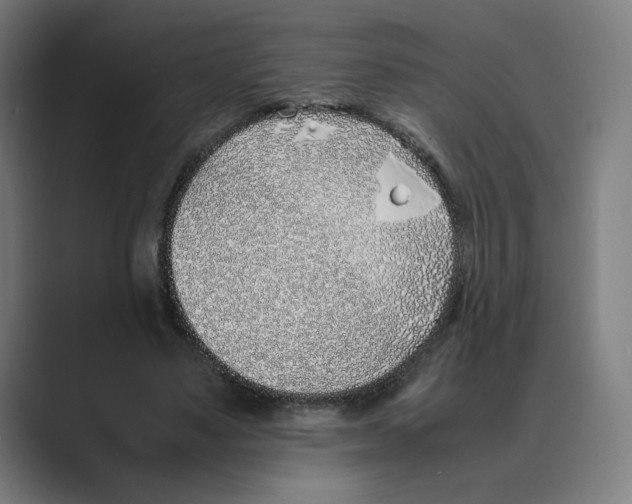 X0000088680491200706281945