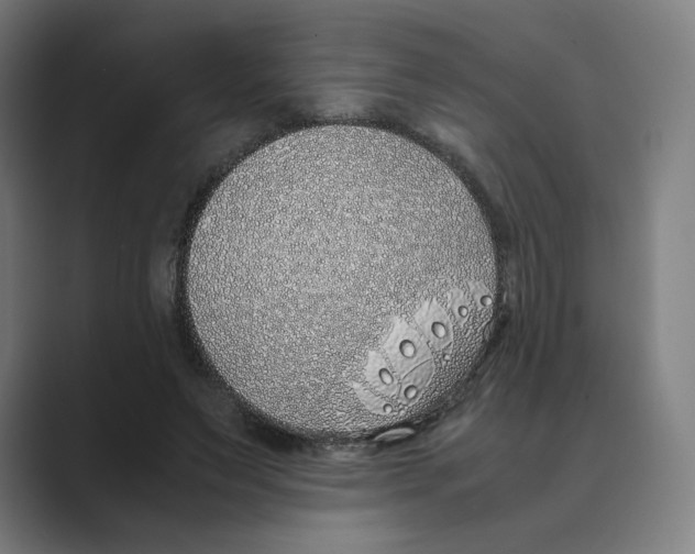 X0000088680495200706281945