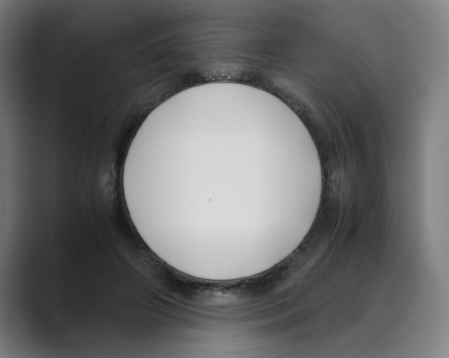 X0000088680498200706281945