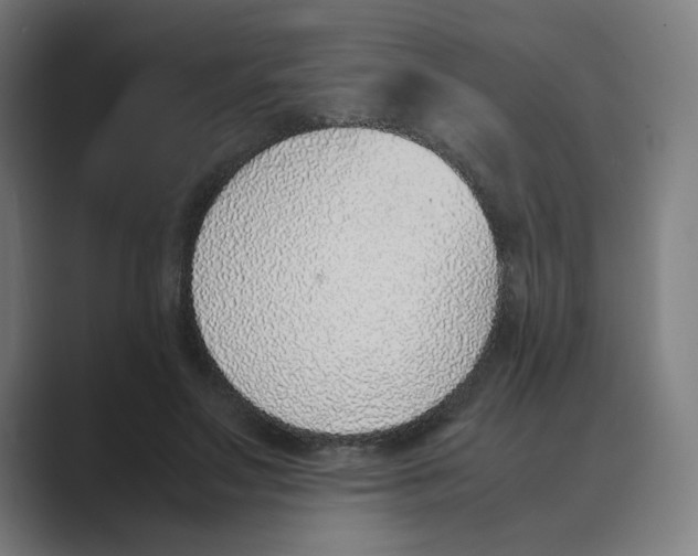 X0000088680499200706281945