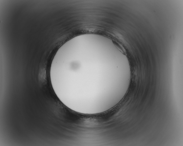 X0000088680500200706281945