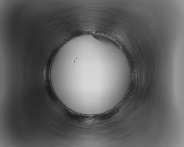 X0000088680504200706281945