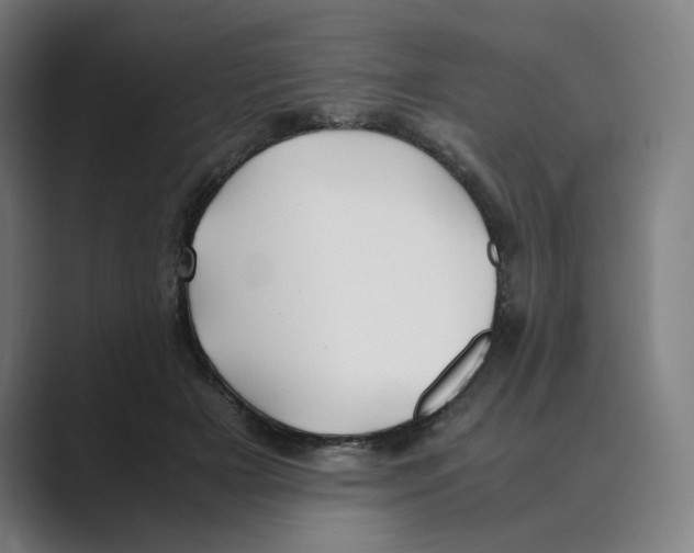 X0000088680505200706281945