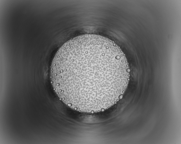 X0000088680507200706281945