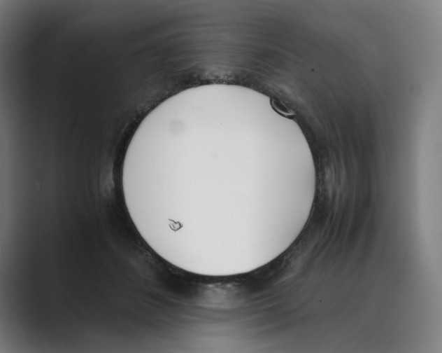 X0000088680508200706281945