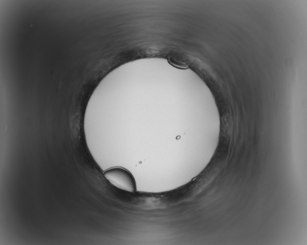 X0000088680509200706281945