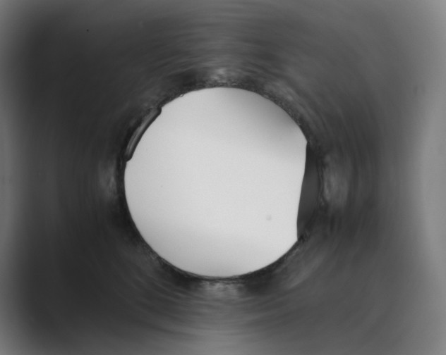 X0000088680520200706281945