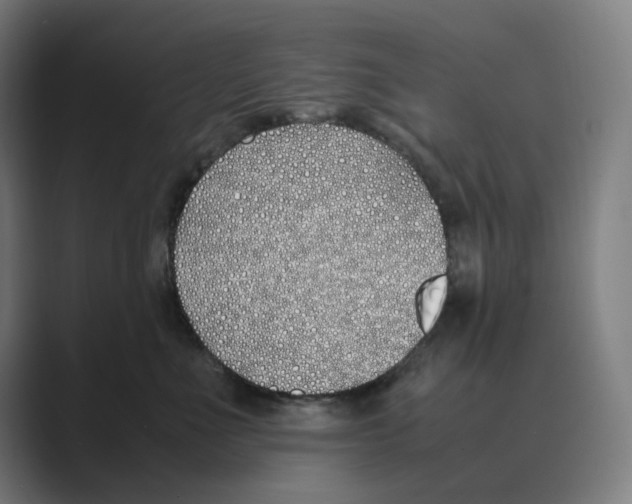 X0000088680523200706281945