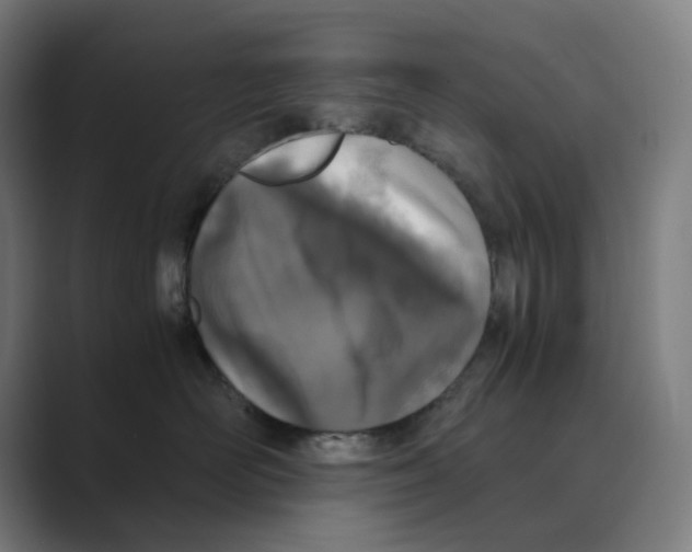 X0000088680526200706281945