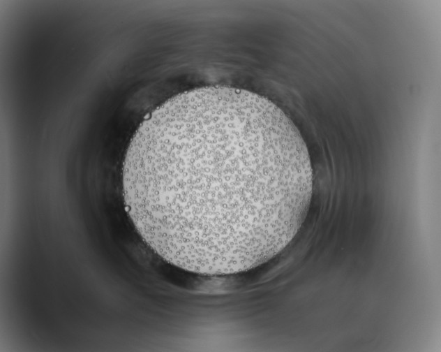 X0000088680527200706281945