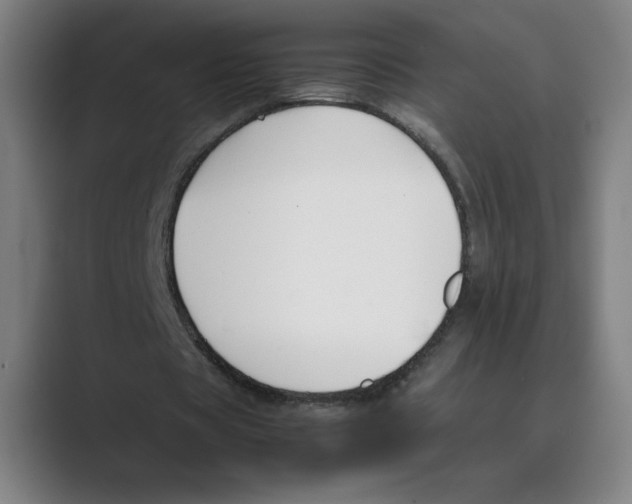 X0000088680529200706281944