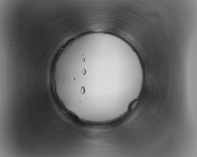 X0000088680530200706281944