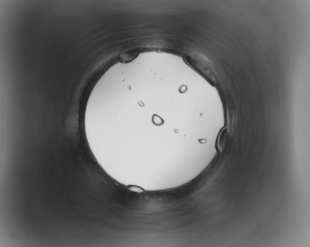 X0000088680531200706281944