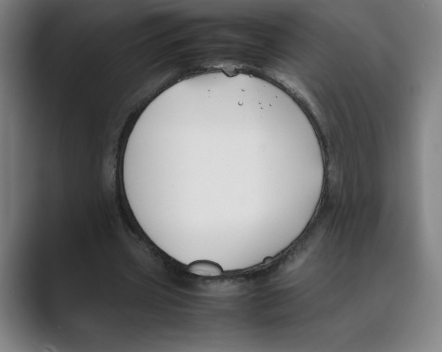 X0000088680533200706281944