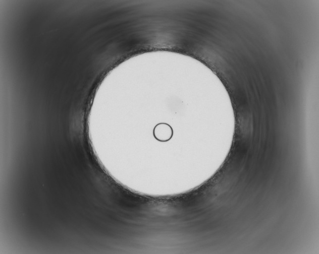 X0000088680534200706281944