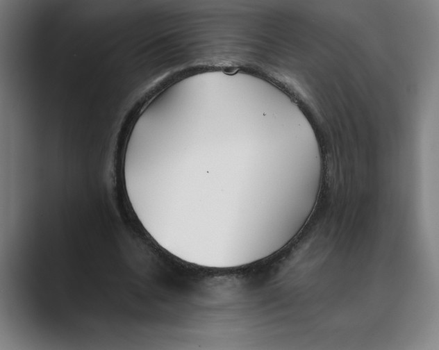 X0000088680536200706281944