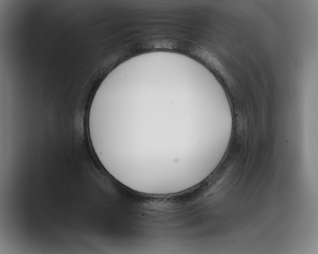 X0000088680537200706281944