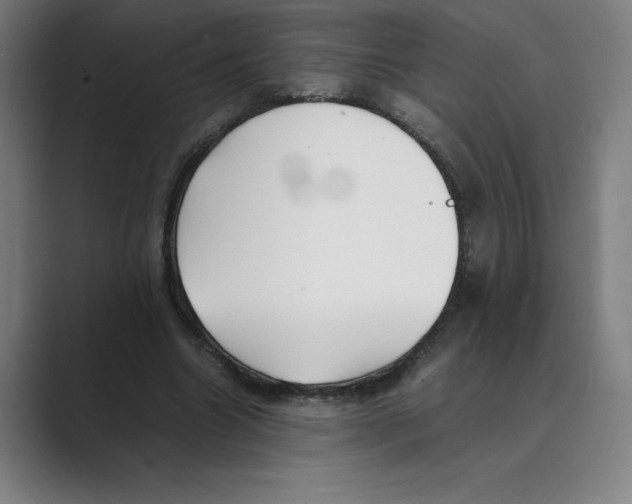 X0000088680538200706281944