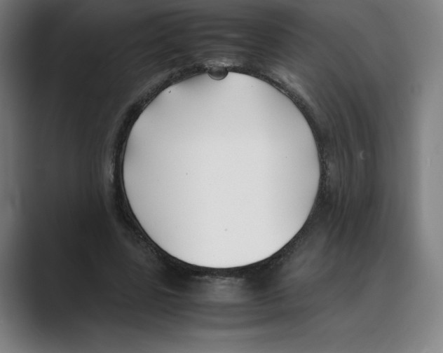 X0000088680539200706281944