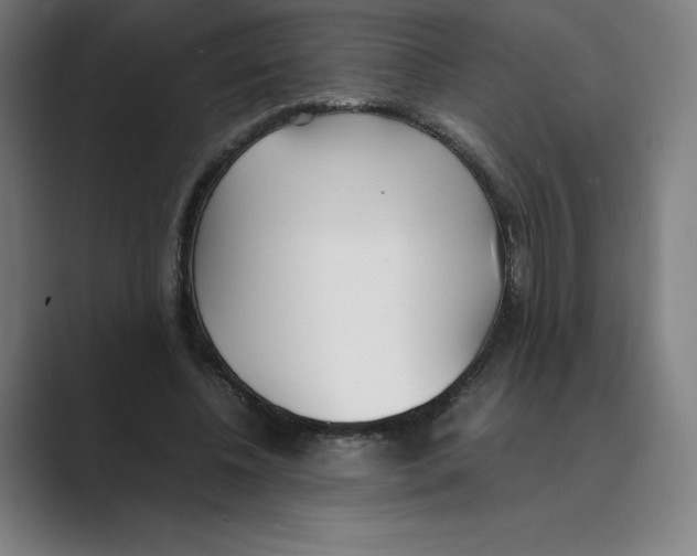 X0000088680540200706281944