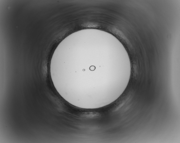 X0000088680541200706281944