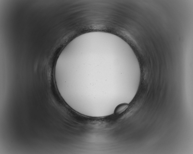 X0000088680542200706281944